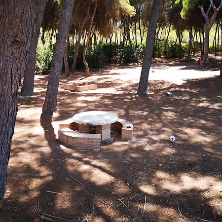 Pinery With A Private Swimming Pool Vila