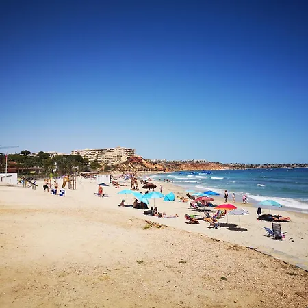 Pinery With A Private Swimming Pool Orihuela