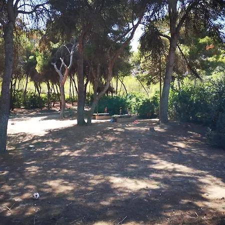 Vila Pinery With A Private Swimming Pool Orihuela