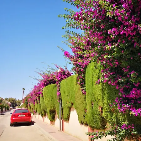 Pinery With A Private Swimming Pool Vila *