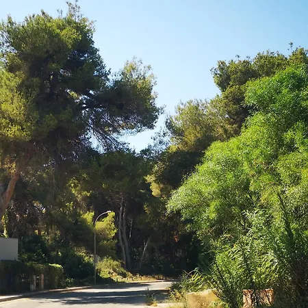 Vila Pinery With A Private Swimming Pool Orihuela