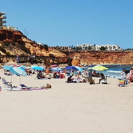 Pinery With A Private Swimming Pool Orihuela